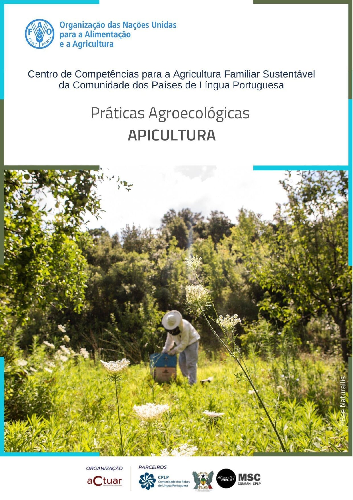 Apicultura 1 page 0001 1