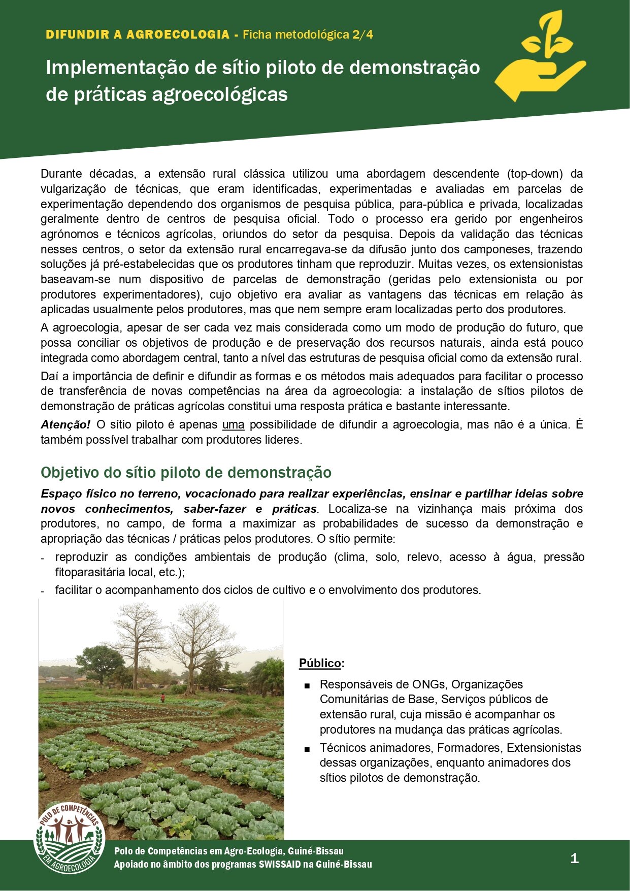 ChernoFicha 2 Campo piloto Demonstração VFF 1 page 0001 1