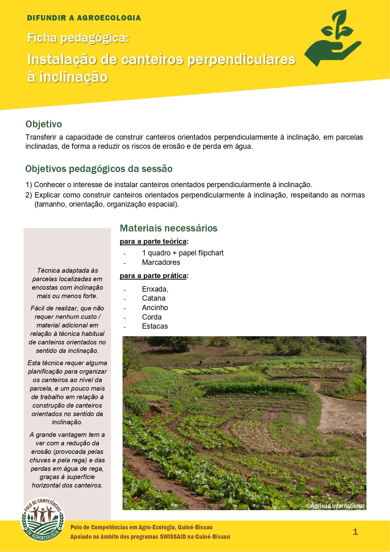 ChernoFicha 5 Canteiros perpendiculares VFF 1 page 0001 1