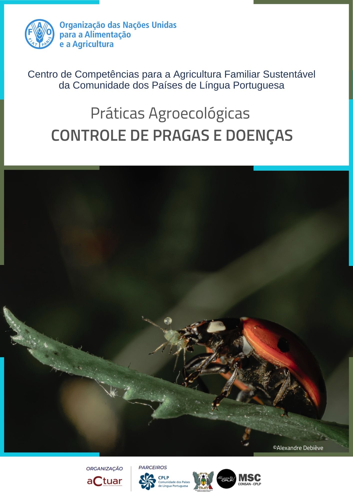 Relatório síntese sumário executivo 1