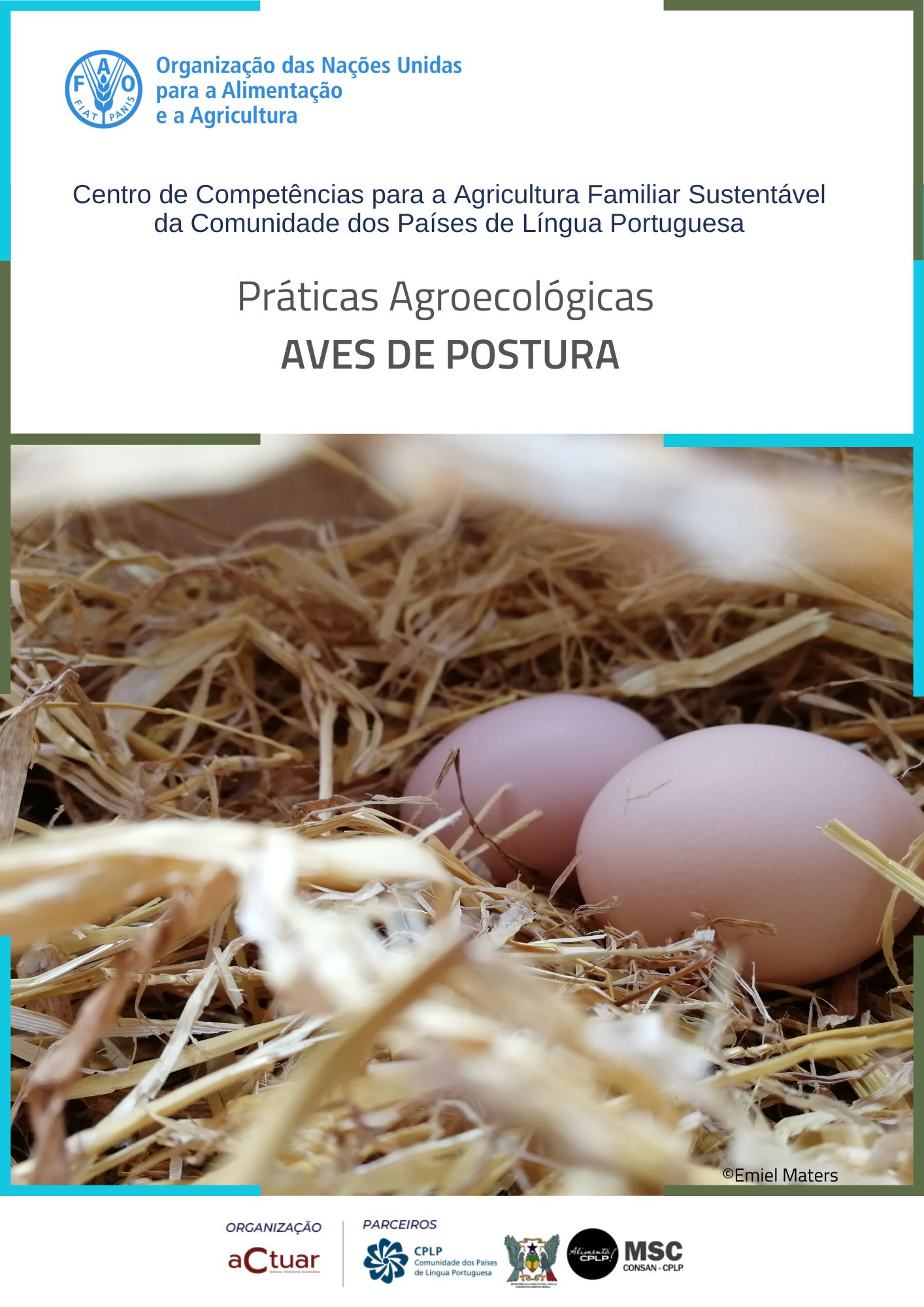 Relatório síntese sumário executivo 2