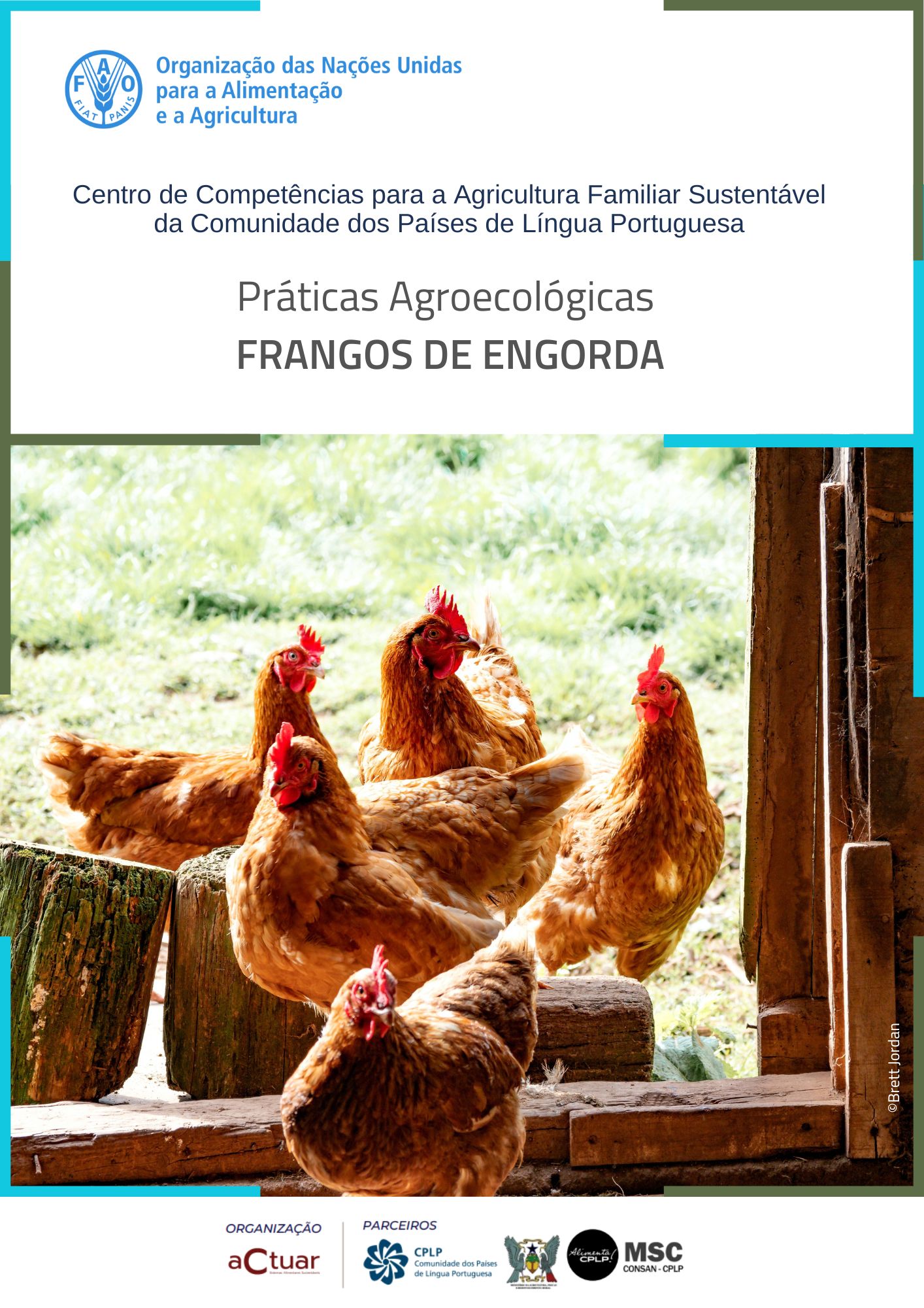 Relatório síntese sumário executivo 5