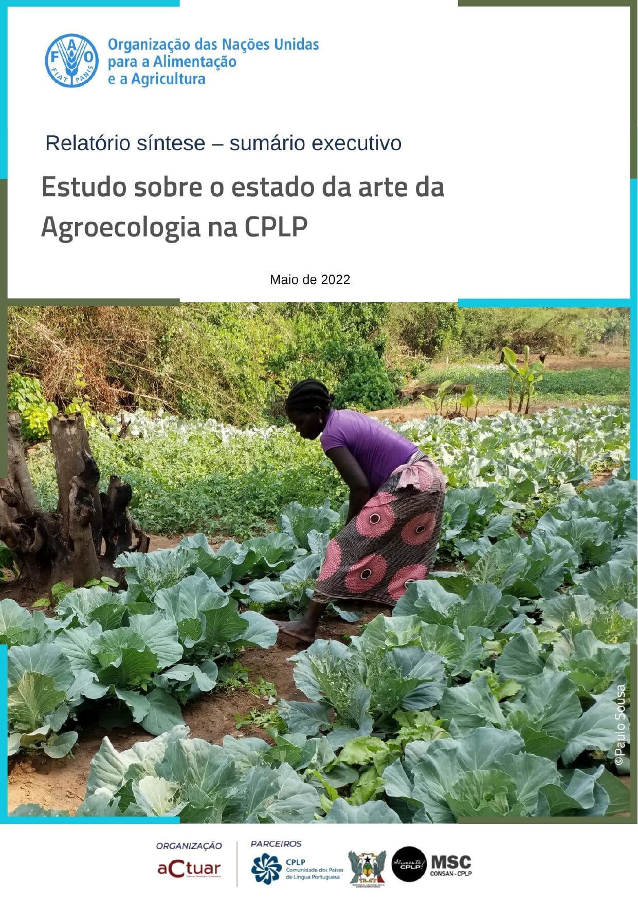 Relatório síntese estudo CCAFS X 1 page 0001 1